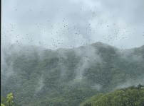 구름